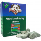 10PET01
